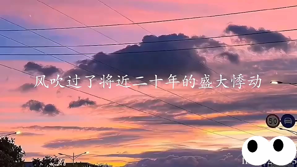 二十年的悸动