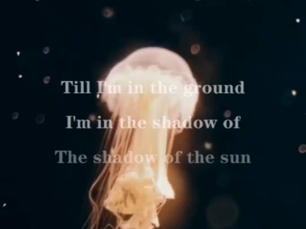 【翻唱】In The Shadow Of The Sun