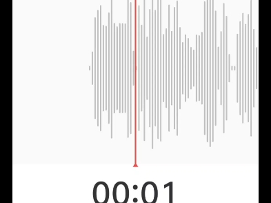 惊鸿醉dj版清唱  不知道发啥随便找了一个录音