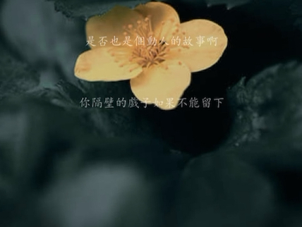《斑马斑马》