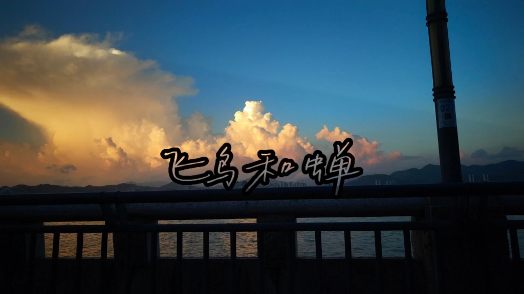 你骄傲的飞远，我栖息的夏天