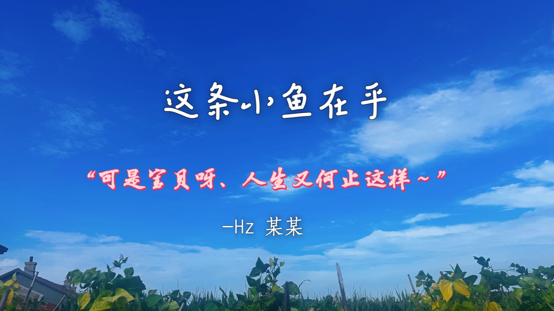 【-Hz 某某】“可是宝贝呀～人生又何止这样～”（这条小鱼在乎）
