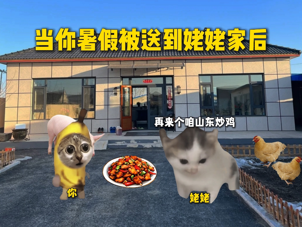“当你暑假被送到姥姥家后”