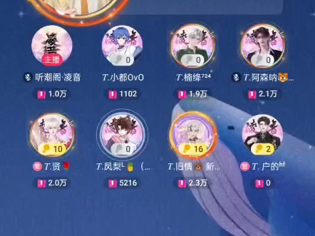 旧情排档《兔子先生》