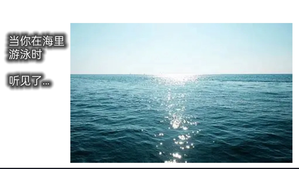 当你在海里游泳时听见…