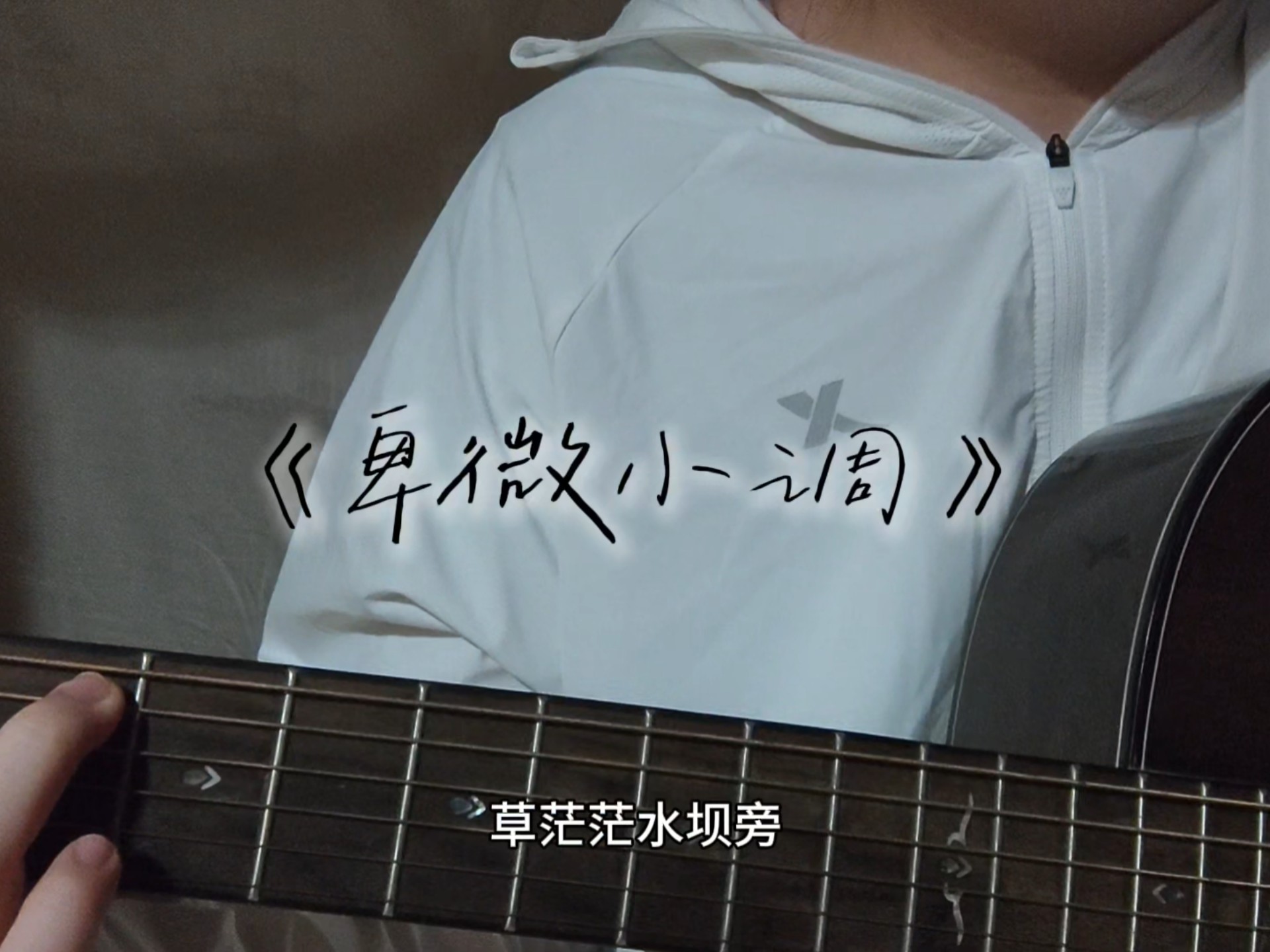 大树追光 日照迷惘｜卑微小调