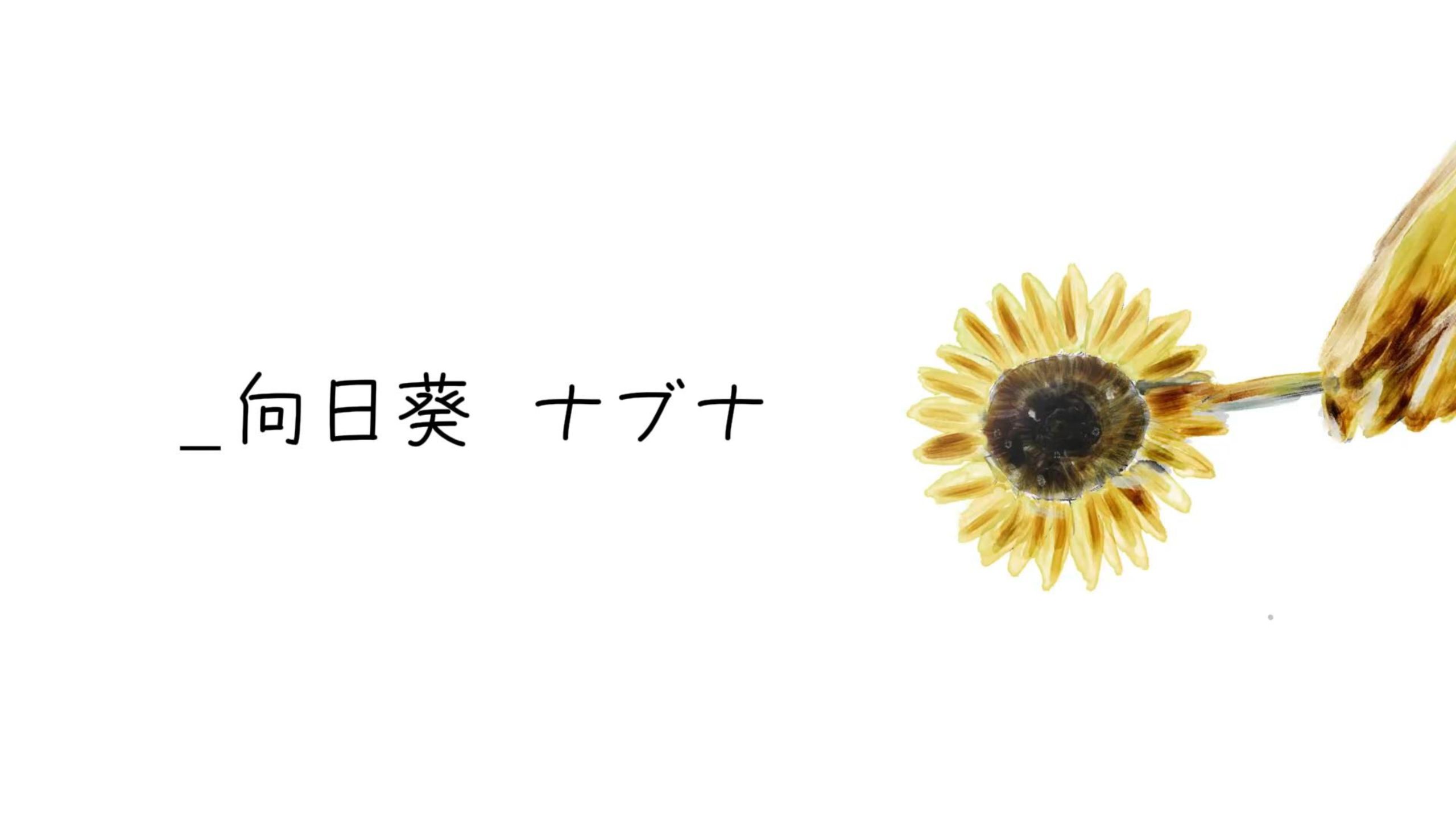 【初音ミク】向日葵 / n-buna / VOCALOID Cover