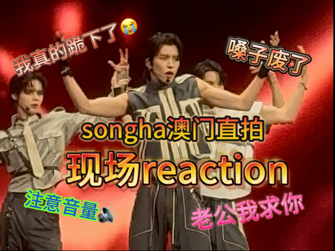 【songha澳门现场全程reaction】我没有白叫,因为他一定听得