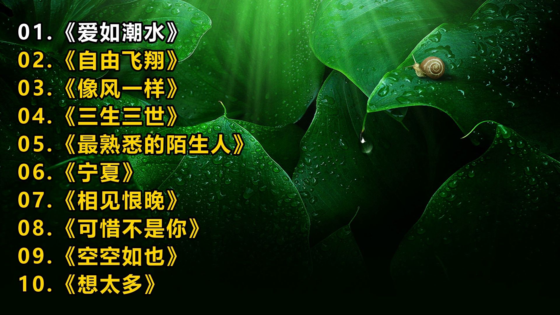 精选歌单《爱如潮水》《自由飞翔》《像风一样》《三生三世》