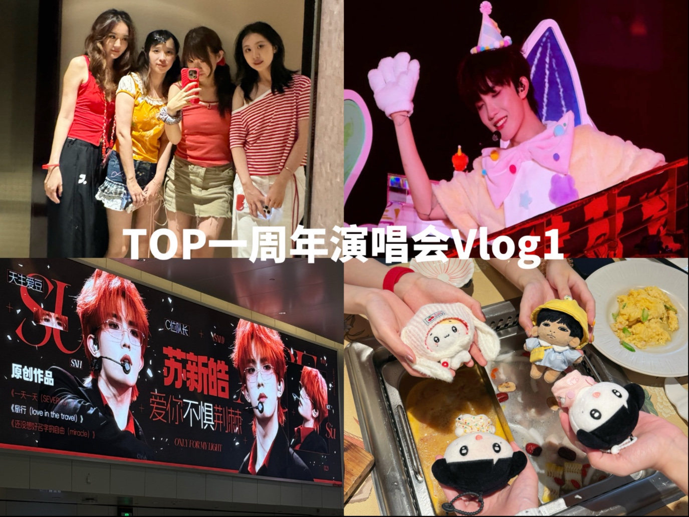 TOP一周年演唱会vlog day1｜总结就是苏新皓C位&和闺蜜们一起追