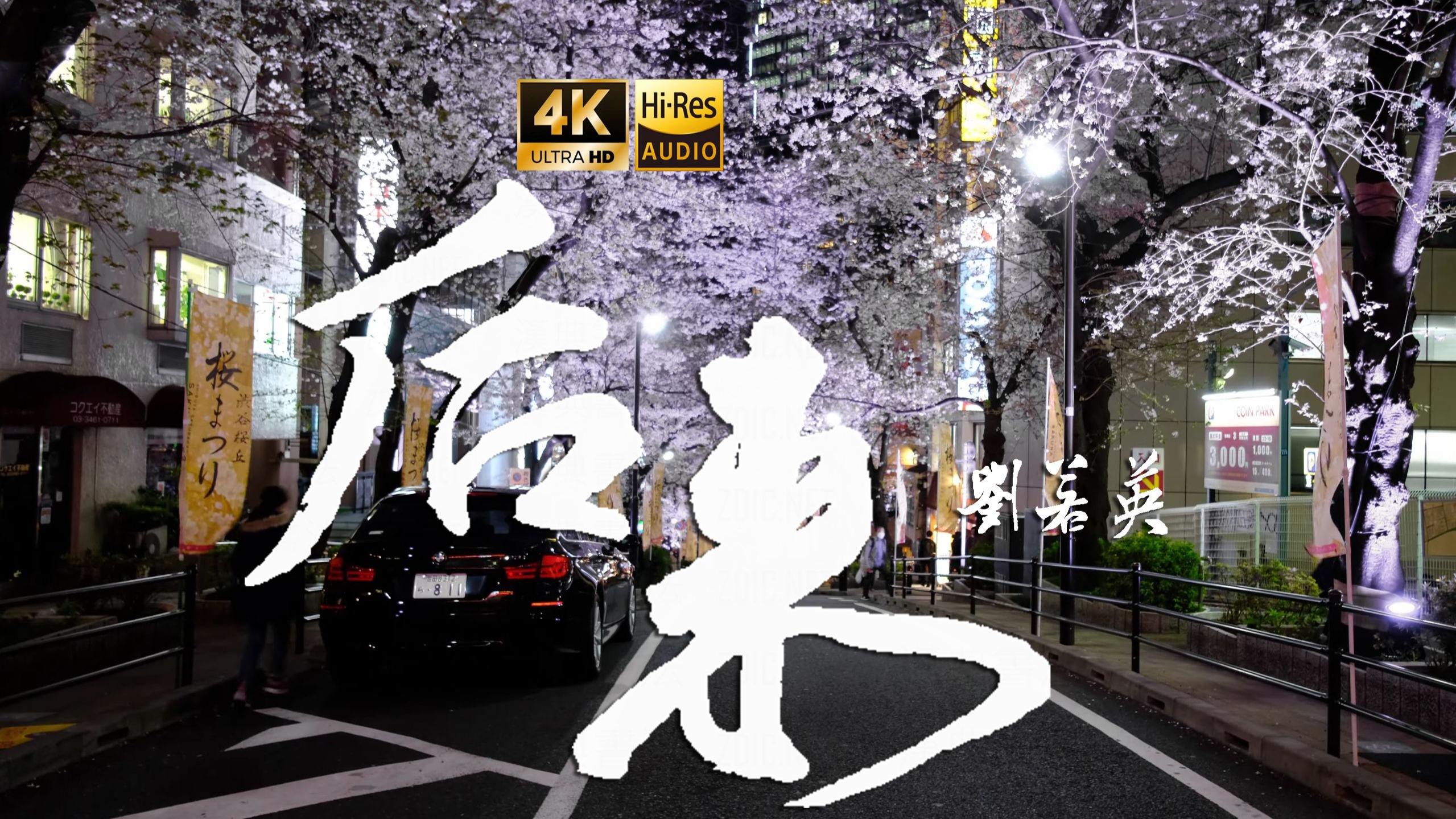 【4K Hi-Res】后来_刘若英  在这相似的深夜里  你是否一样  