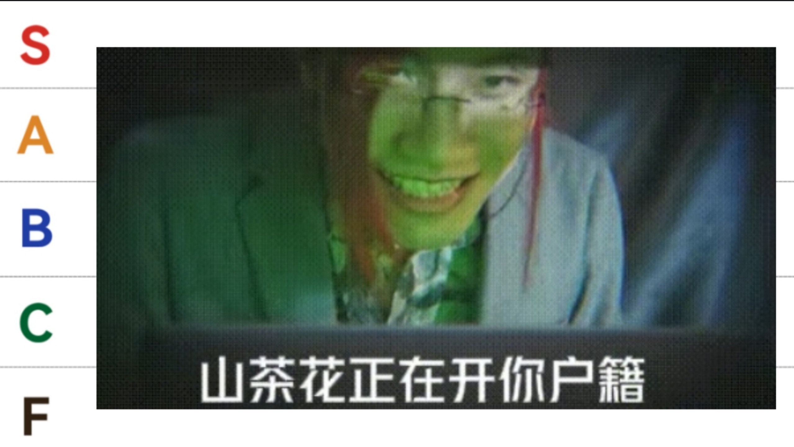 从S到F 锐评12首山茶花曲子