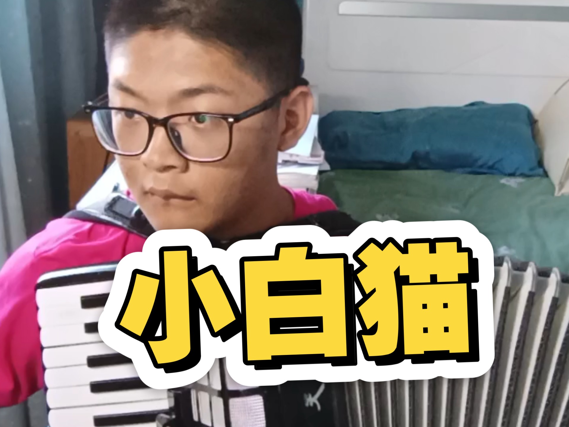 《小白猫》手风琴