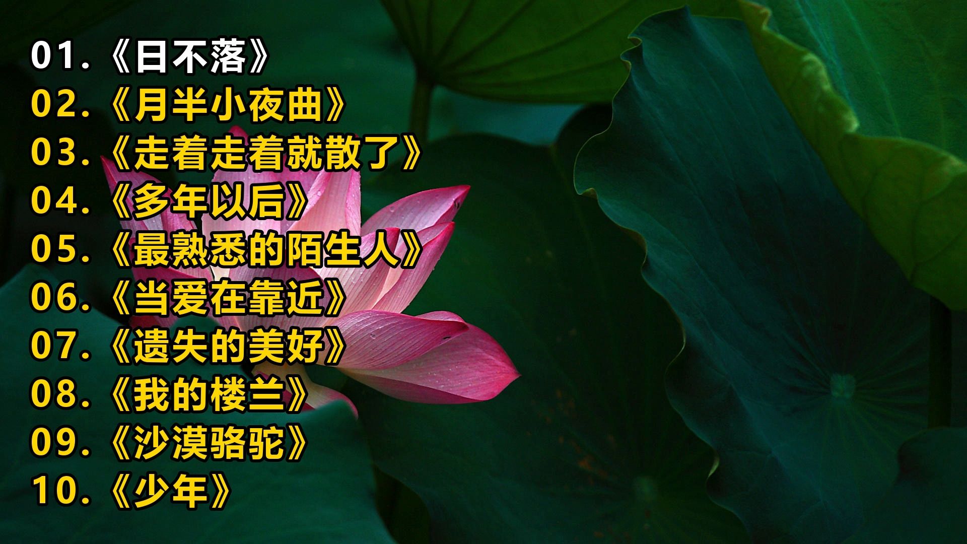 【精选音乐榜单】《日不落》《月半小夜曲》《走着走着就散了