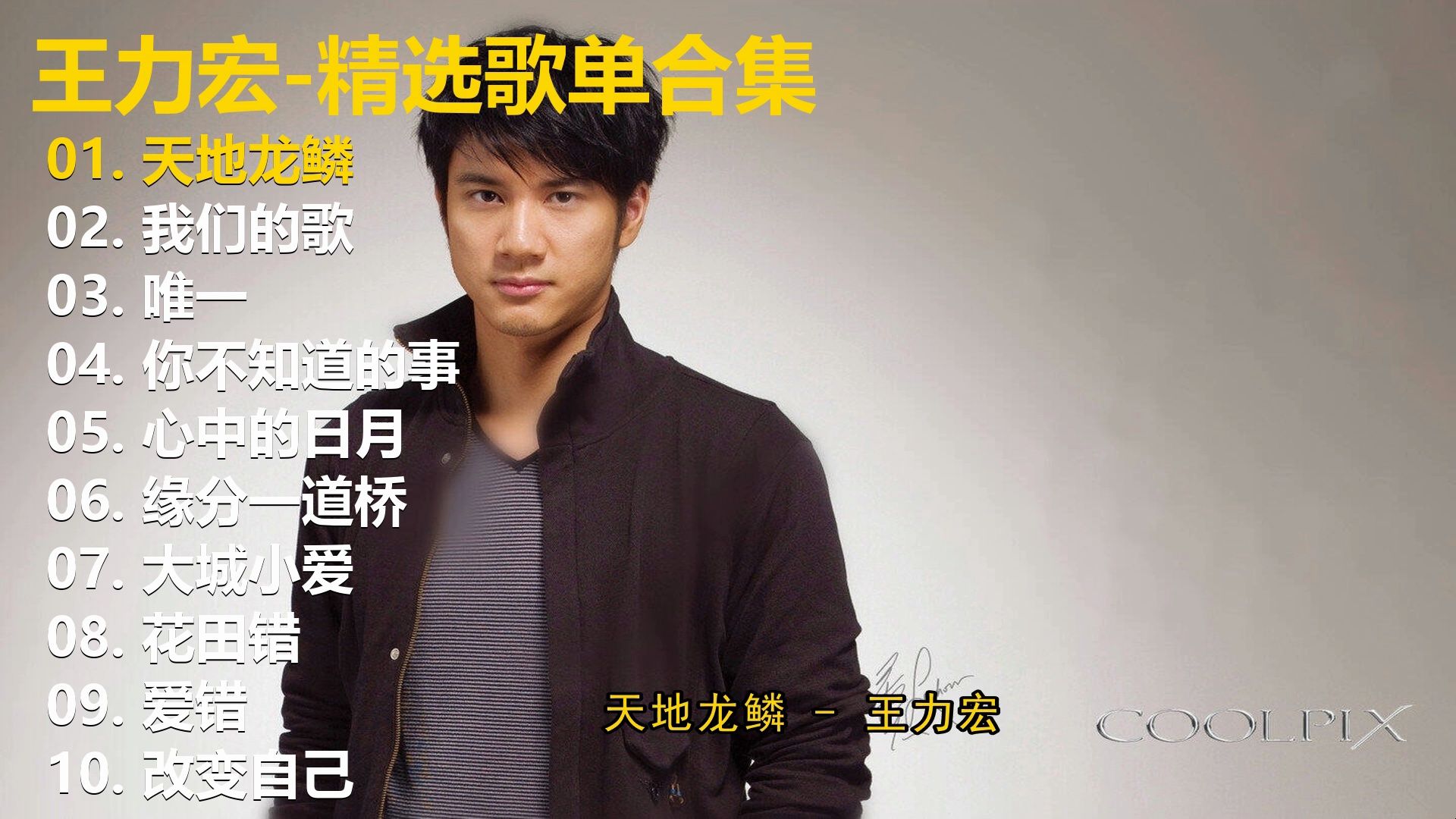 【无损音质-歌词同步】王力宏10首精选歌单，畅听40+分钟，有喜欢