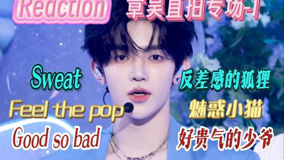 【Reaction】章昊专场1 | Sweat&Feel the pop&Good so bad直