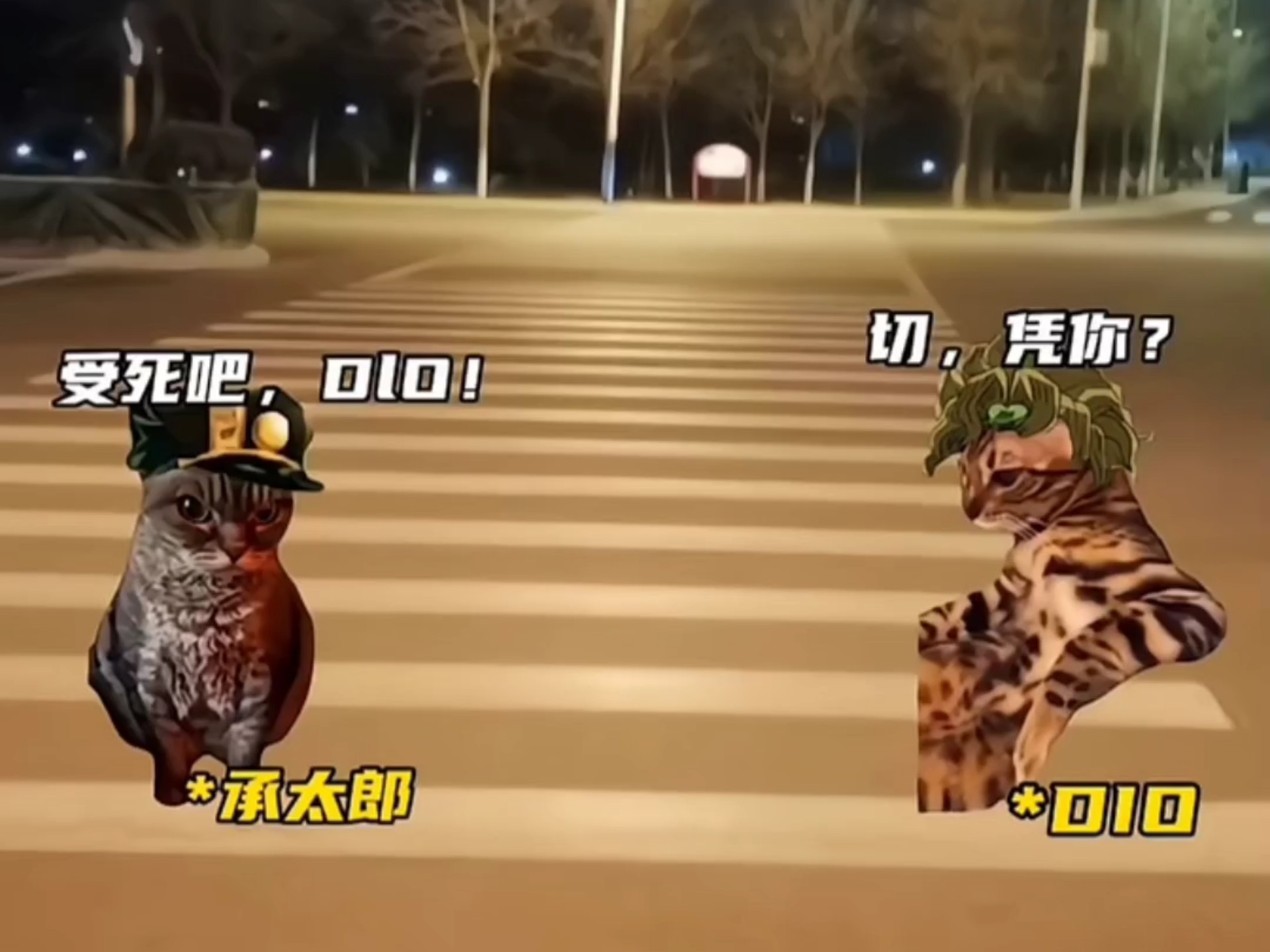 【整活/承太郎】迪奥：小日本鬼子，八嘎呀路