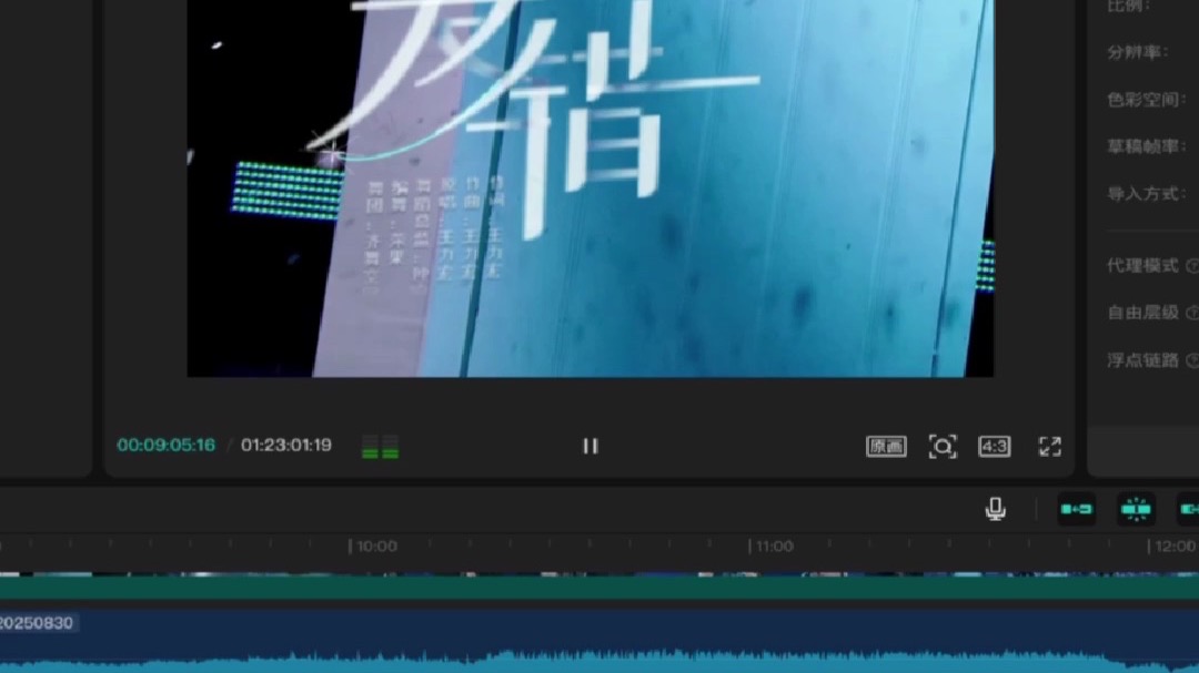 有大哥的轨道
