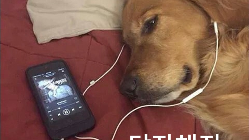 playlist° 消息回一下拜托 #Chill