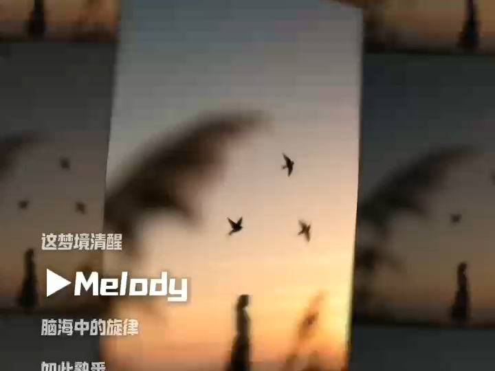 Melody-翻唱林熙