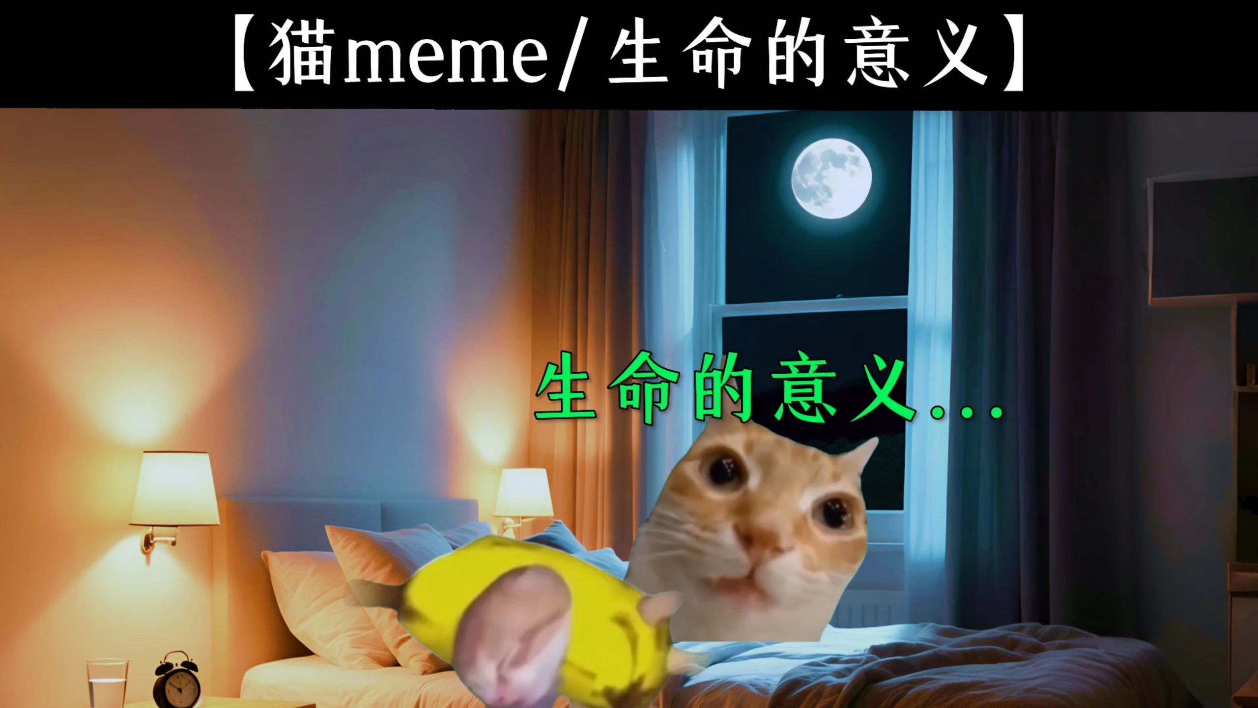 猫Meme 你想数星星吗？【猫meme音乐】