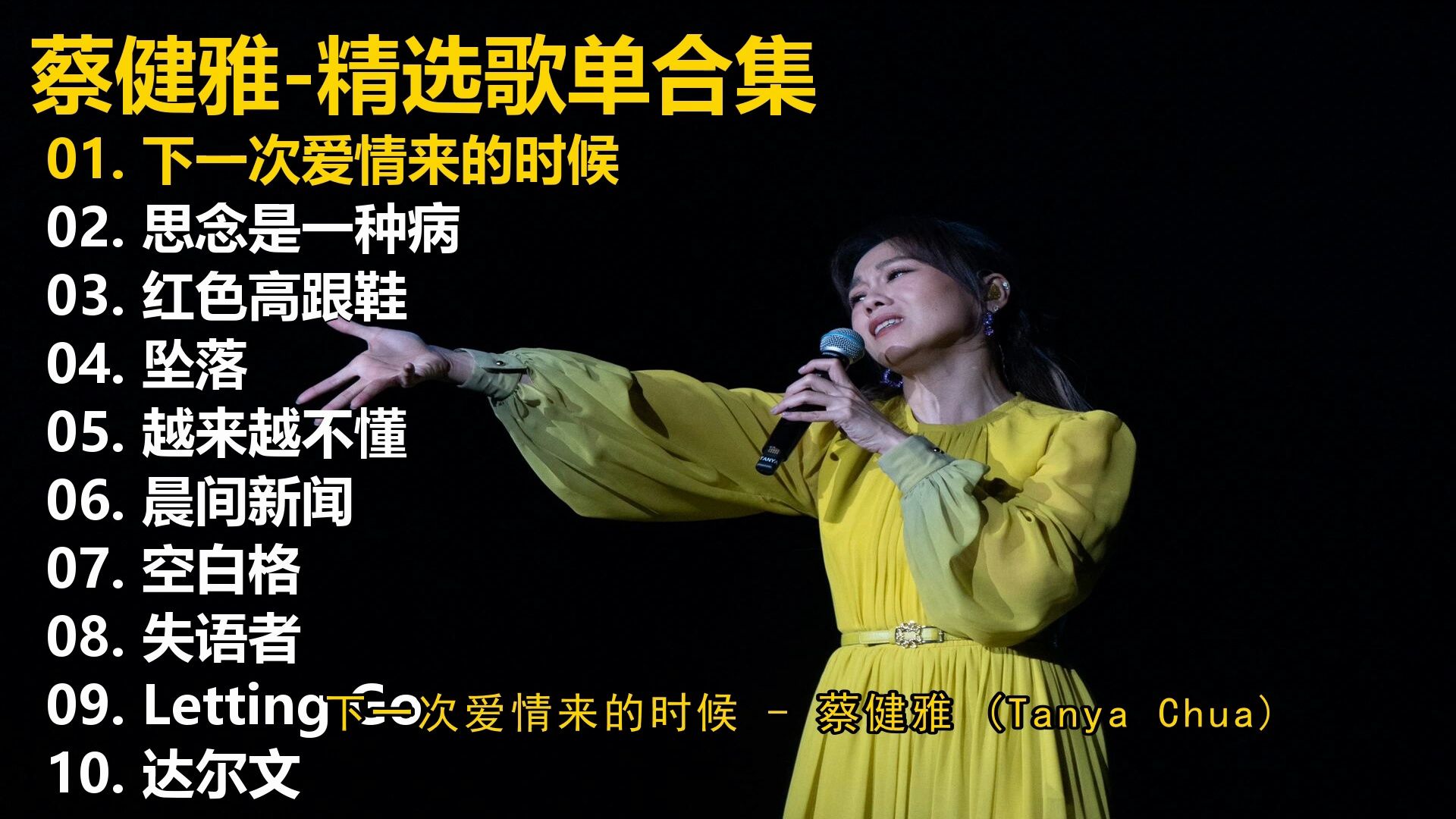 【蔡健雅】精选歌单合集《下一次爱情来的时候》《思念是一种
