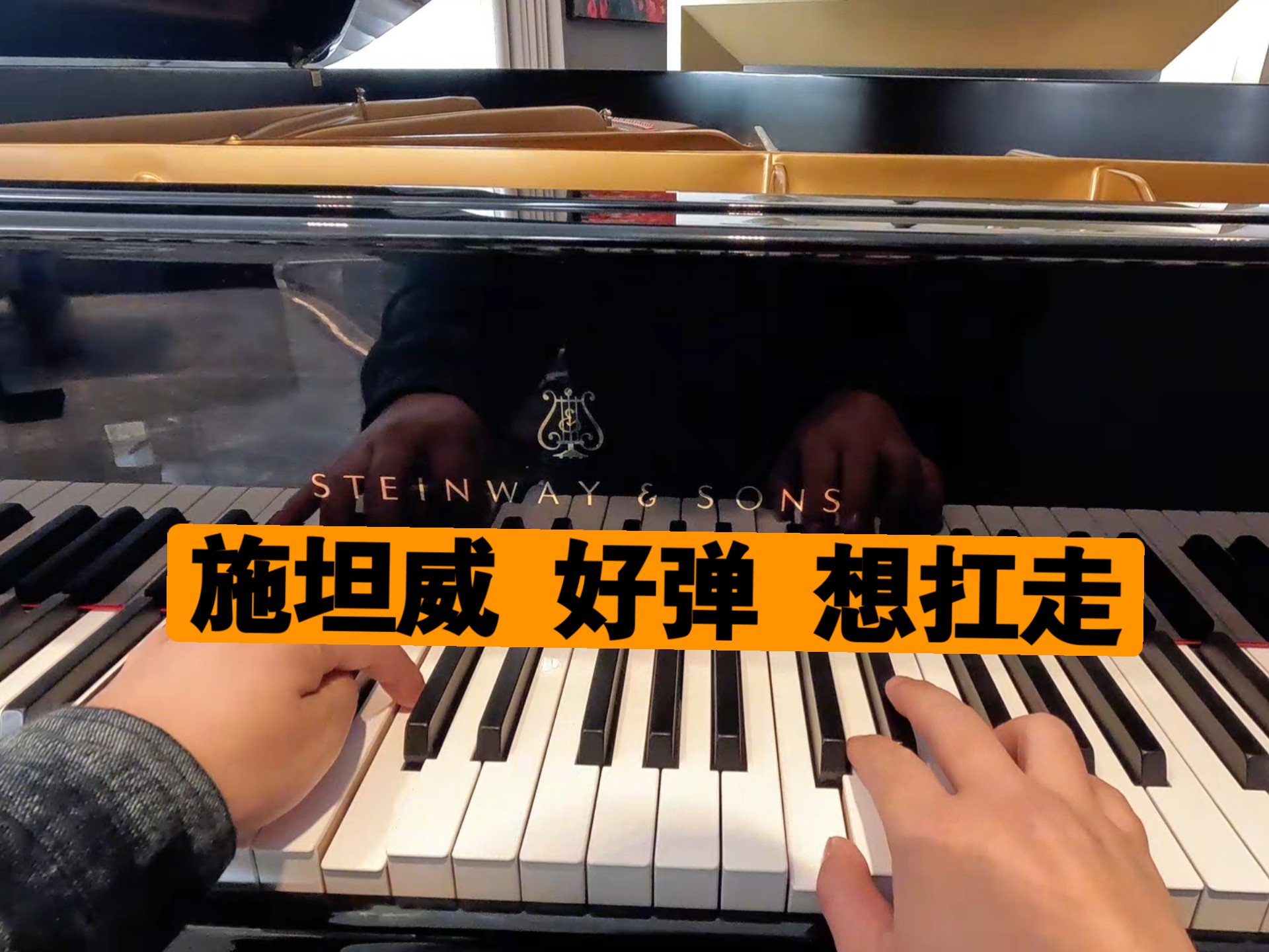 施坦威  好弹  想扛走