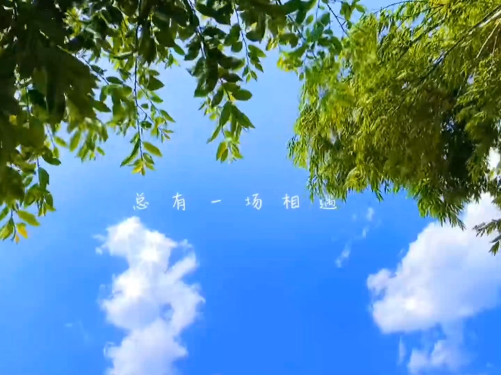 当年“血洗”网吧的经典歌曲，80、90后才懂的，瞬间泪目歌曲，压力