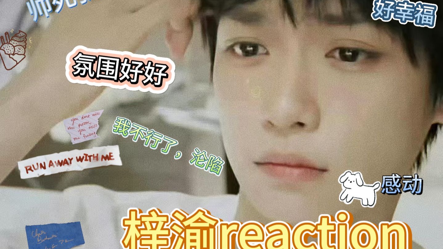 梓渝reaction【盐城＋贵阳音乐节vlog】