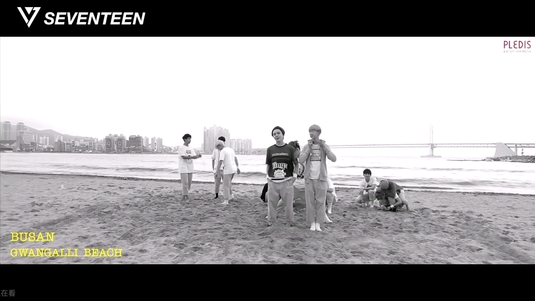【SEVENTEEN Reaction】交换part版舞蹈mv，part都是自己抢来的