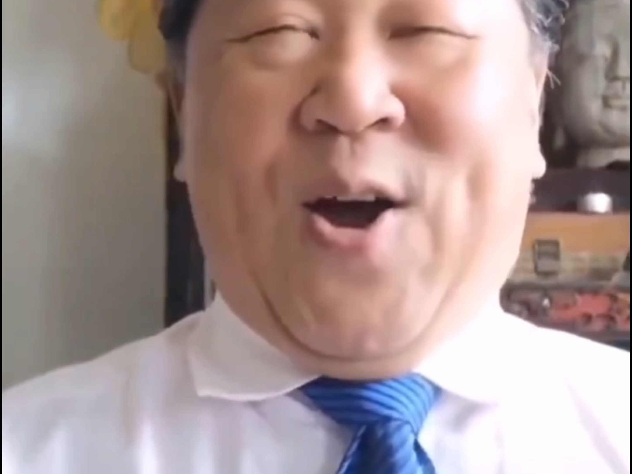 旅欧歌唱家刘克清老师翻唱