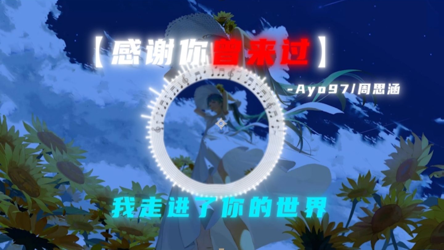 循环歌单 |【感谢你曾来过】"我走进了你的世界 "