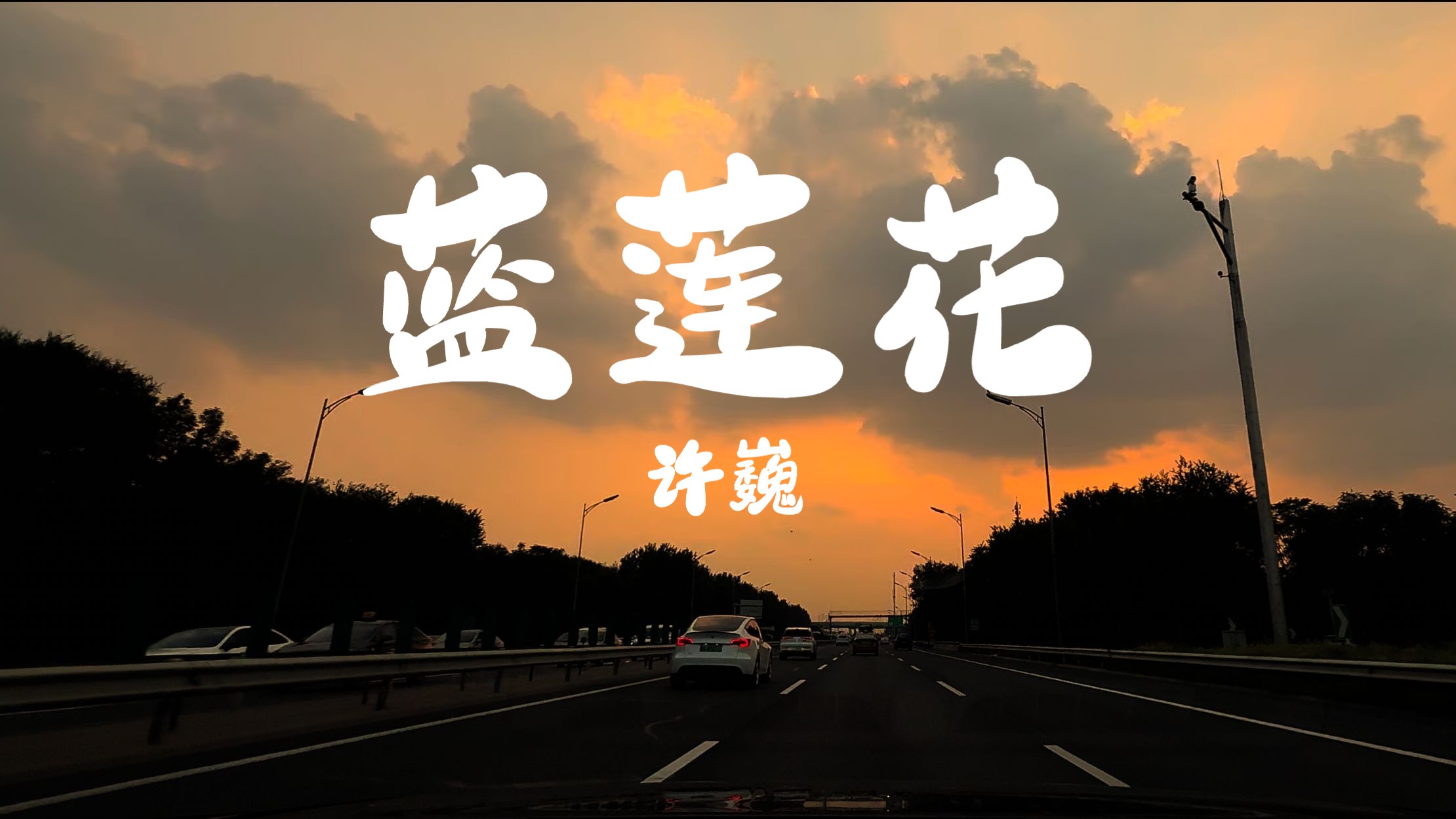 许巍《蓝莲花》 此时此刻Live 沃尔沃-S90宝华B&W