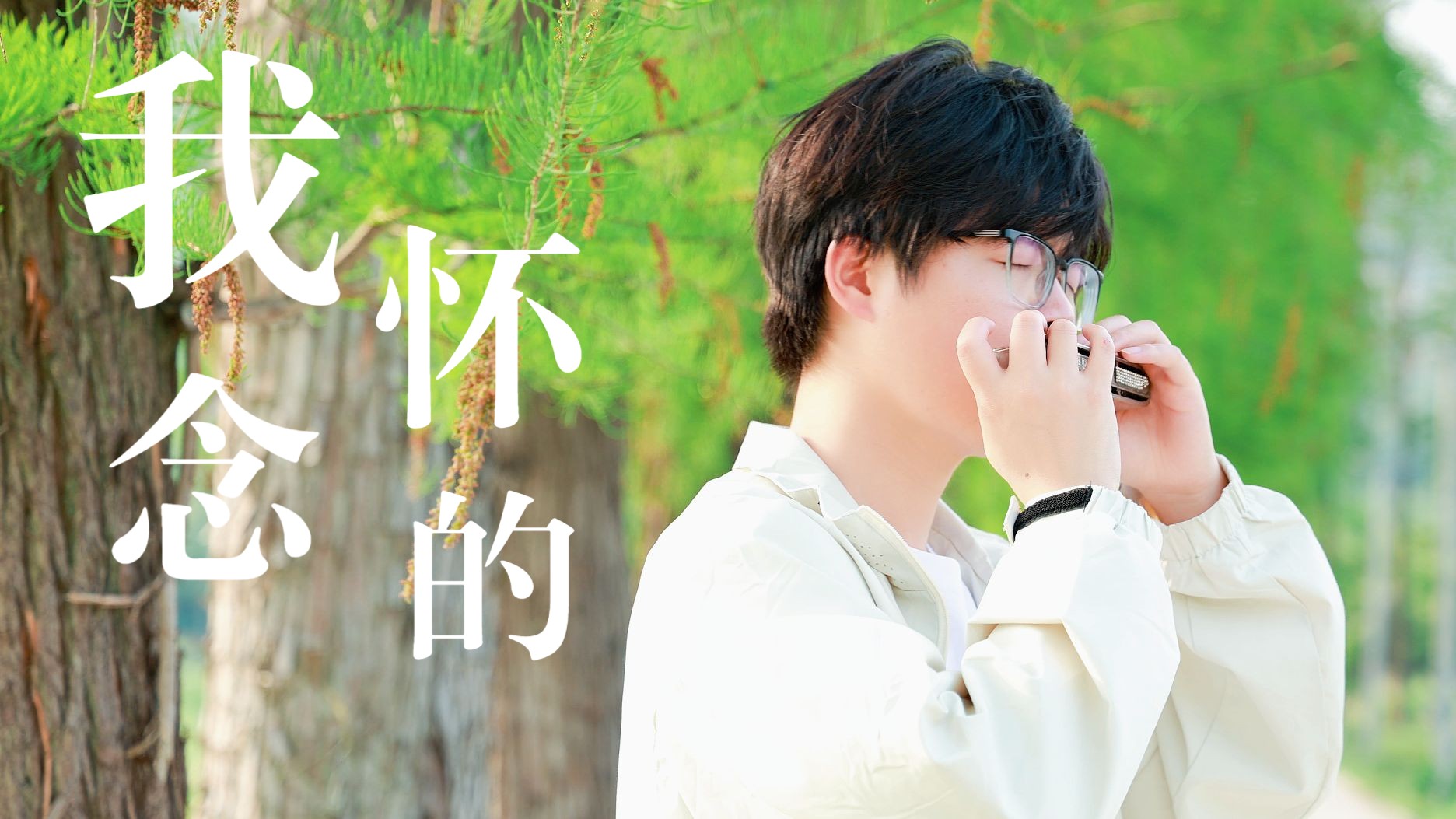 《我怀念的》口琴深情演绎 谁懂我多么不舍得