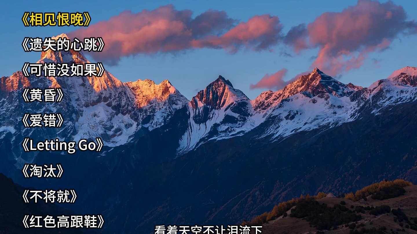 一人一首成名曲 《相见恨晚》《遗失的心跳》《可惜没如果》