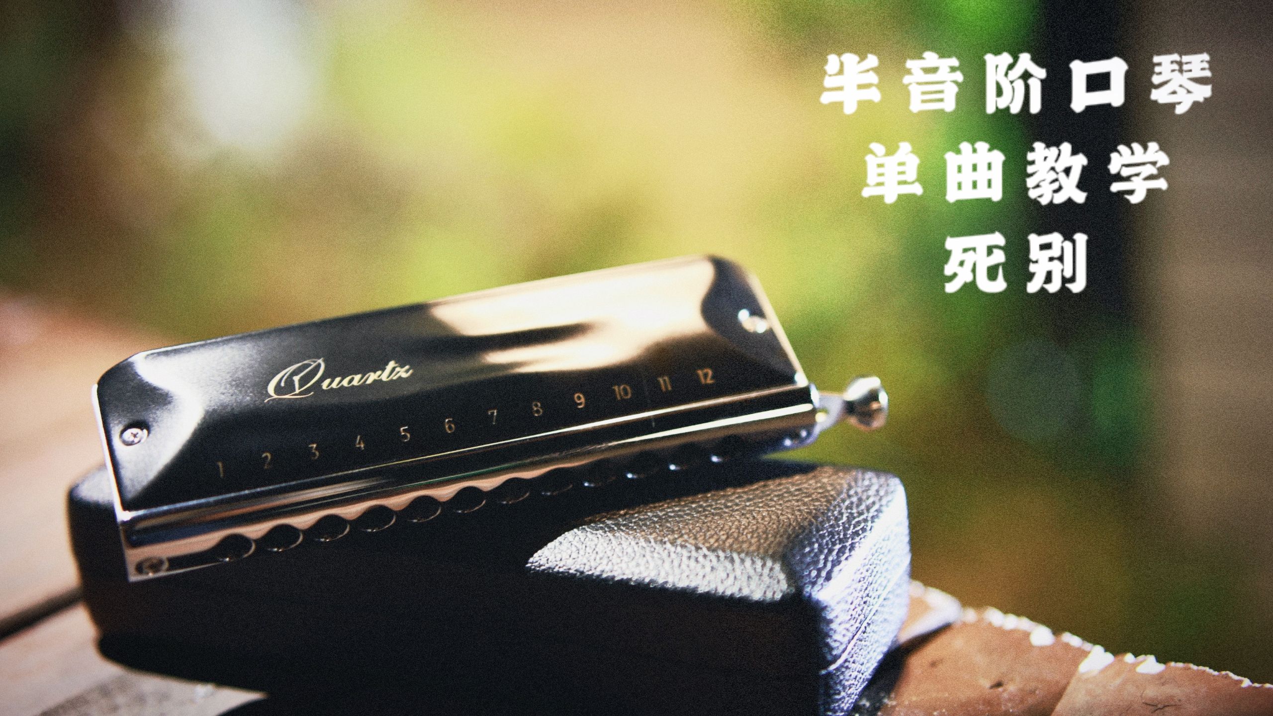 口琴单曲教学(34):死别 我们的结局交给你来演绎