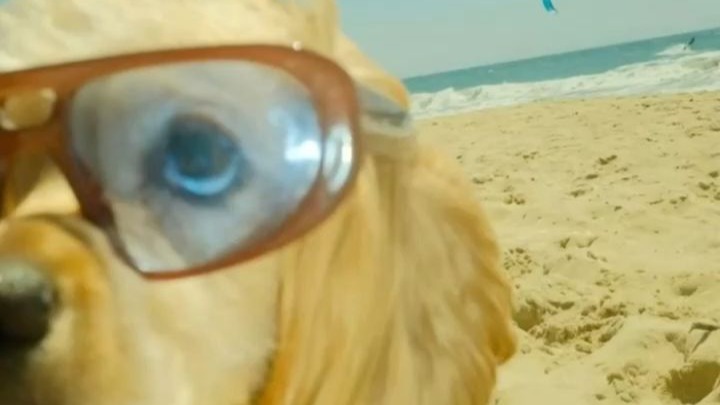 playlist° “来” #House