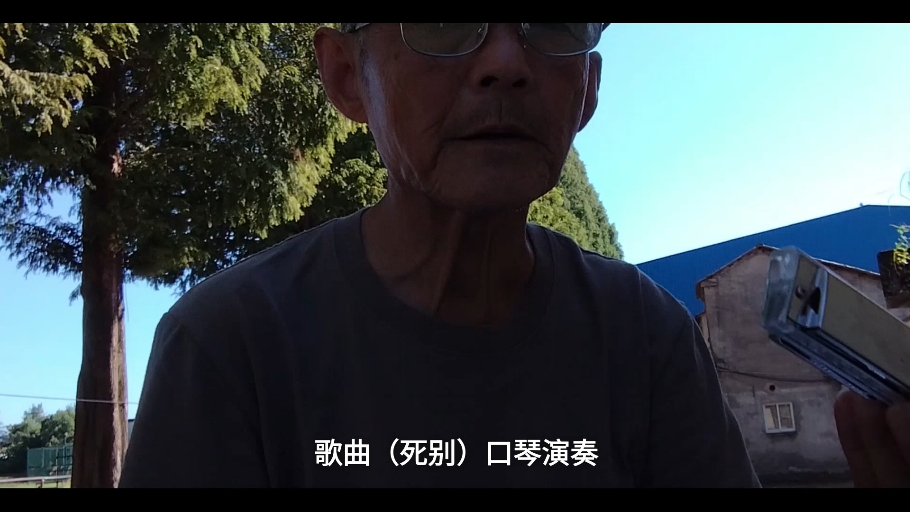 歌曲（死别 ）口琴演奏