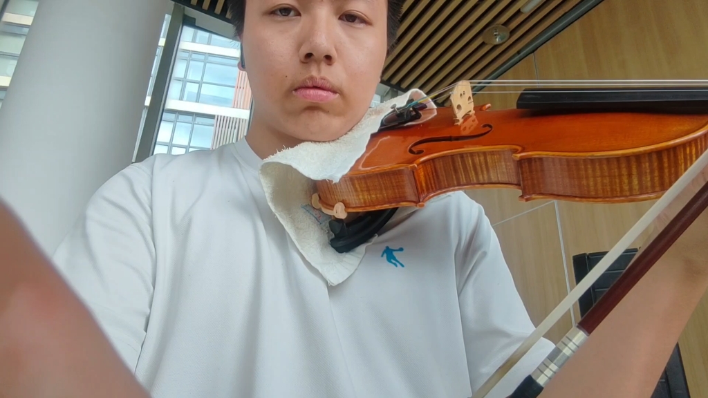 小提琴（鸣潮）致以无名的抗争者