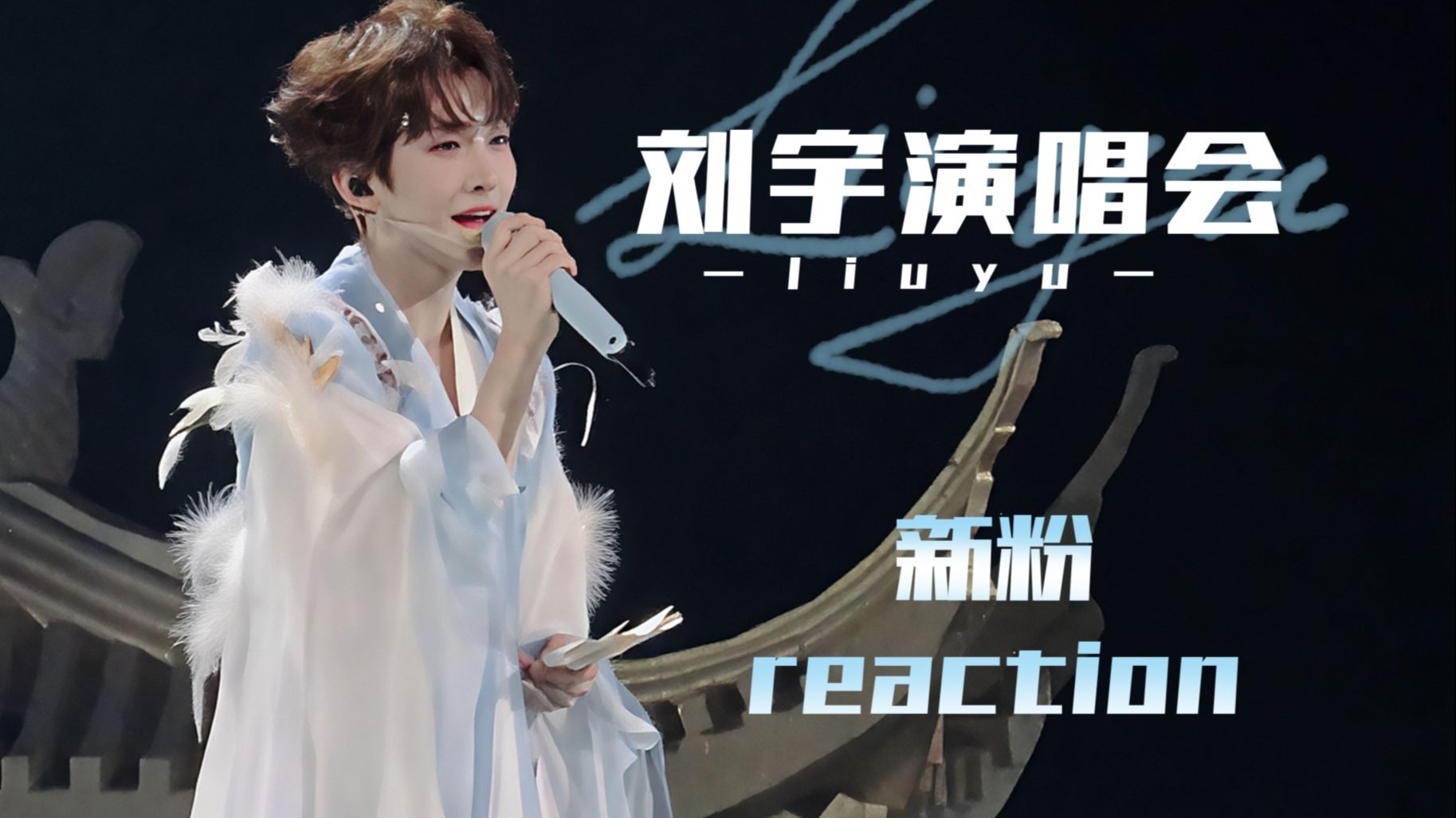 【刘宇|演唱会reaction】入坑两天的新粉去看演唱会是什么感