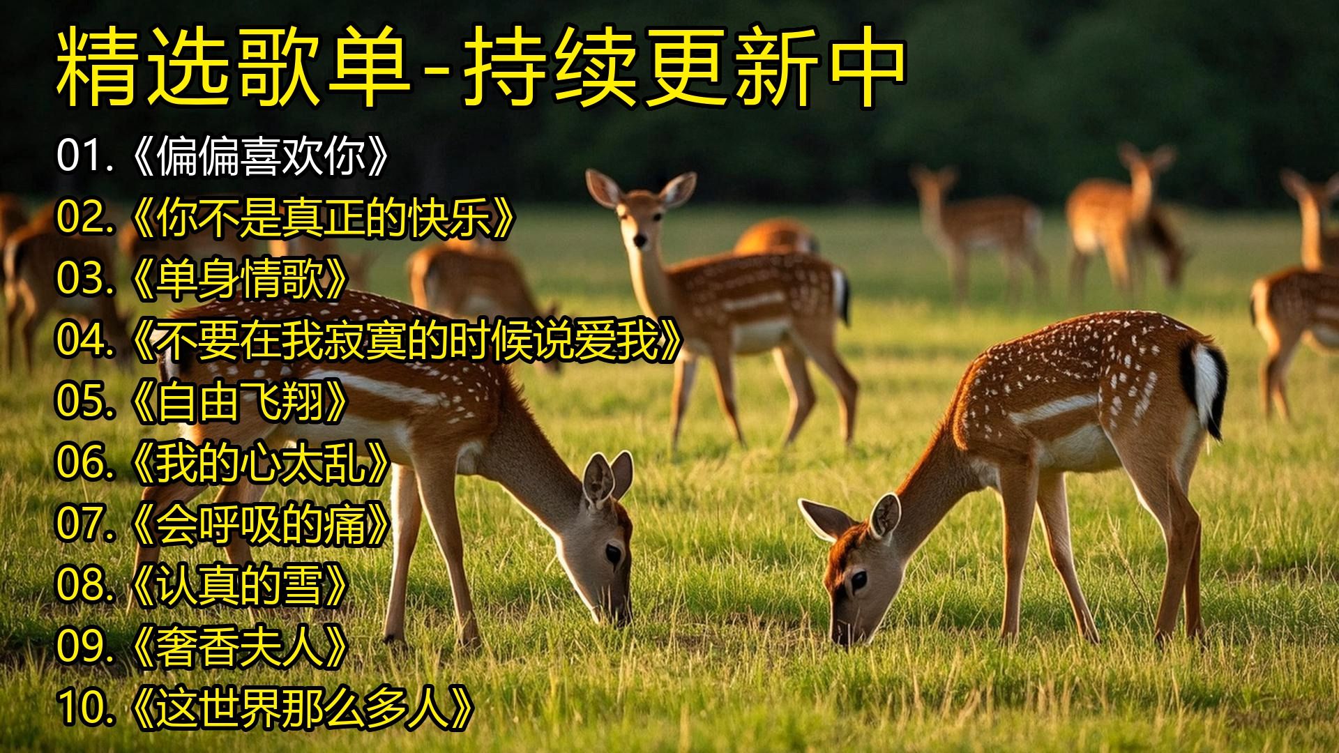 精选歌单《偏偏喜欢你》《你不是真正的快乐》《单身情歌》《