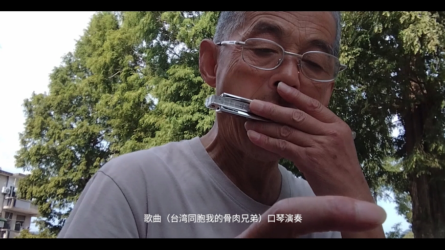 歌曲（台湾同胞我的骨肉兄弟）口琴演奏