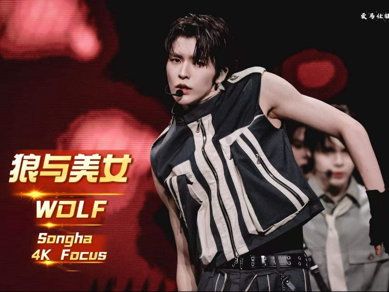 【你是美女 我是狼】李松河songha TIMA《狼与美女》舞台 4K