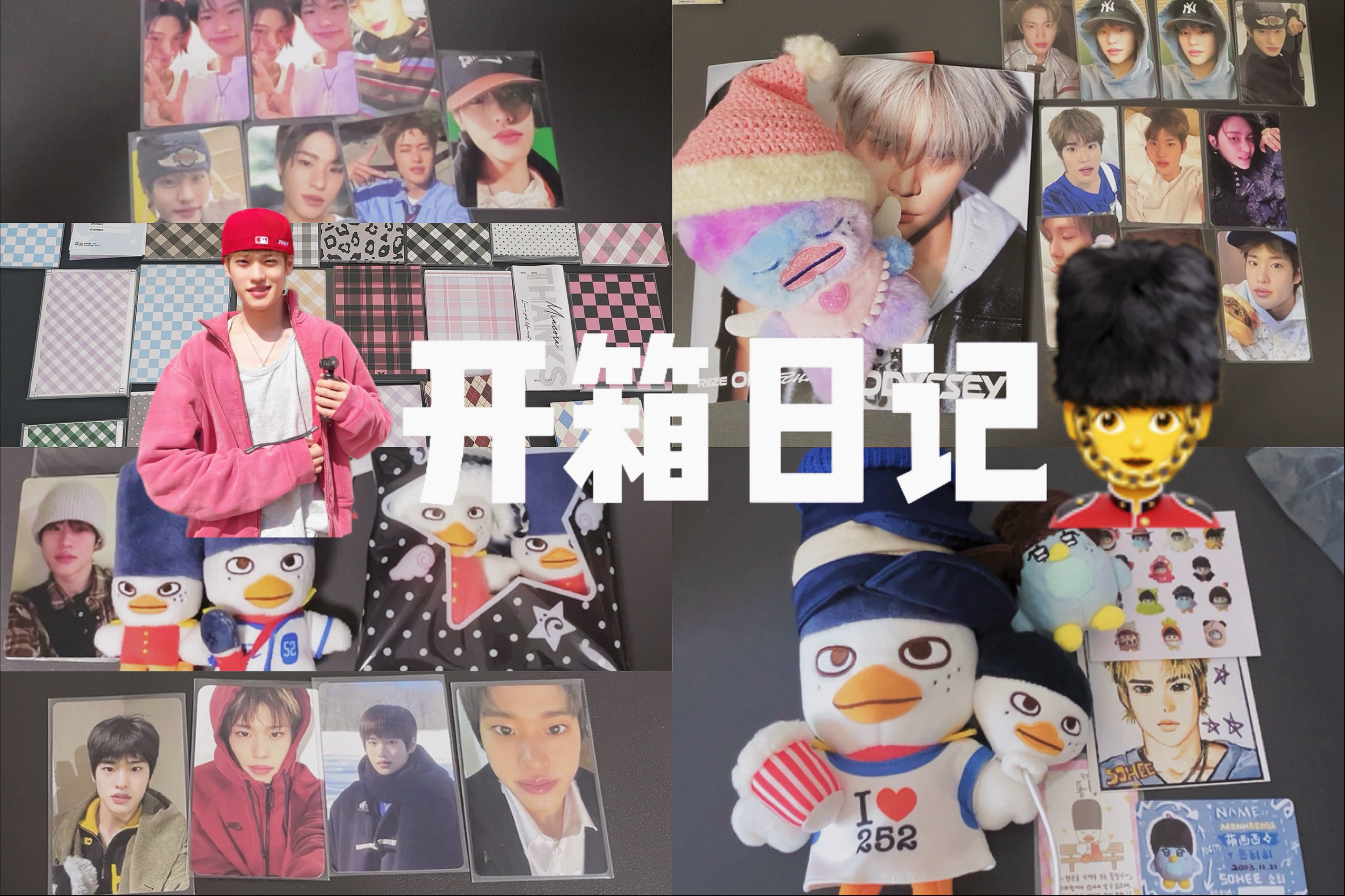 Sohee|开箱 没实力的西妈就这样买了一堆萌物