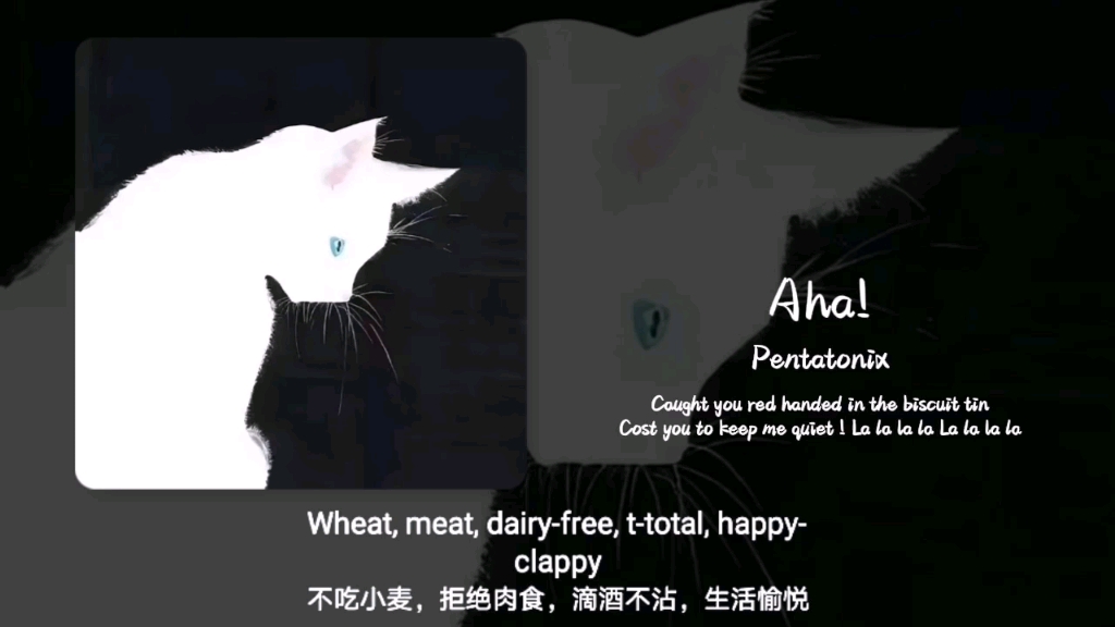 循环歌单｜“发现一首高级的阿卡贝拉！！”｜《Aha!》