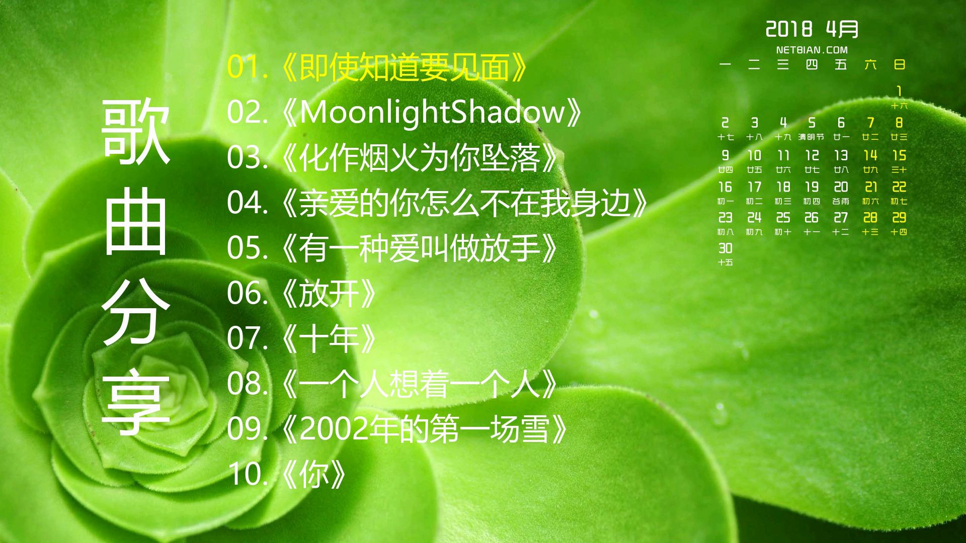 精选歌单《即使知道要见面》《MoonlightShadow》《化作烟火