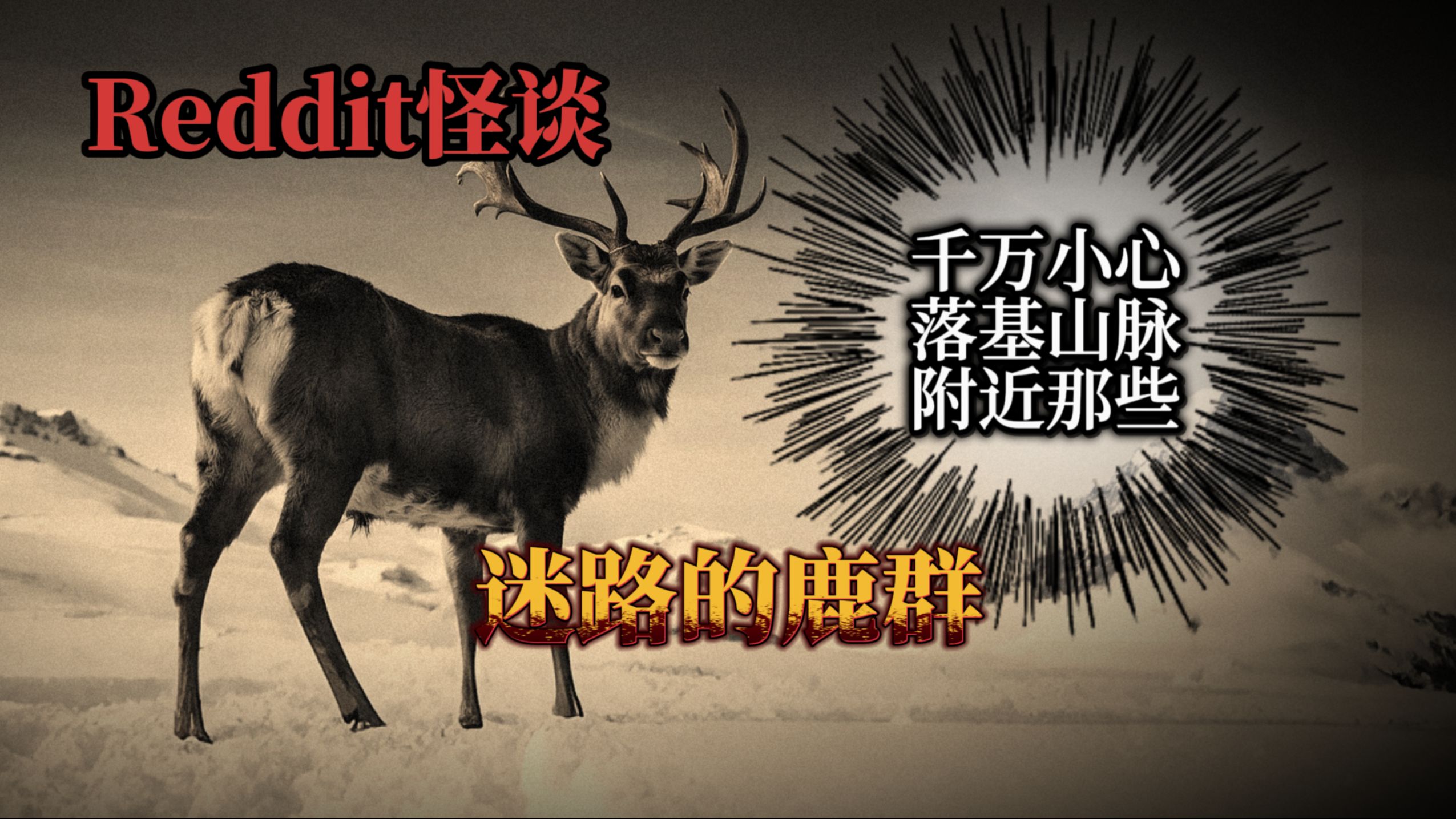 我在朋友家做客，她告诉我千万小心山脚下那些迷路的鹿群。