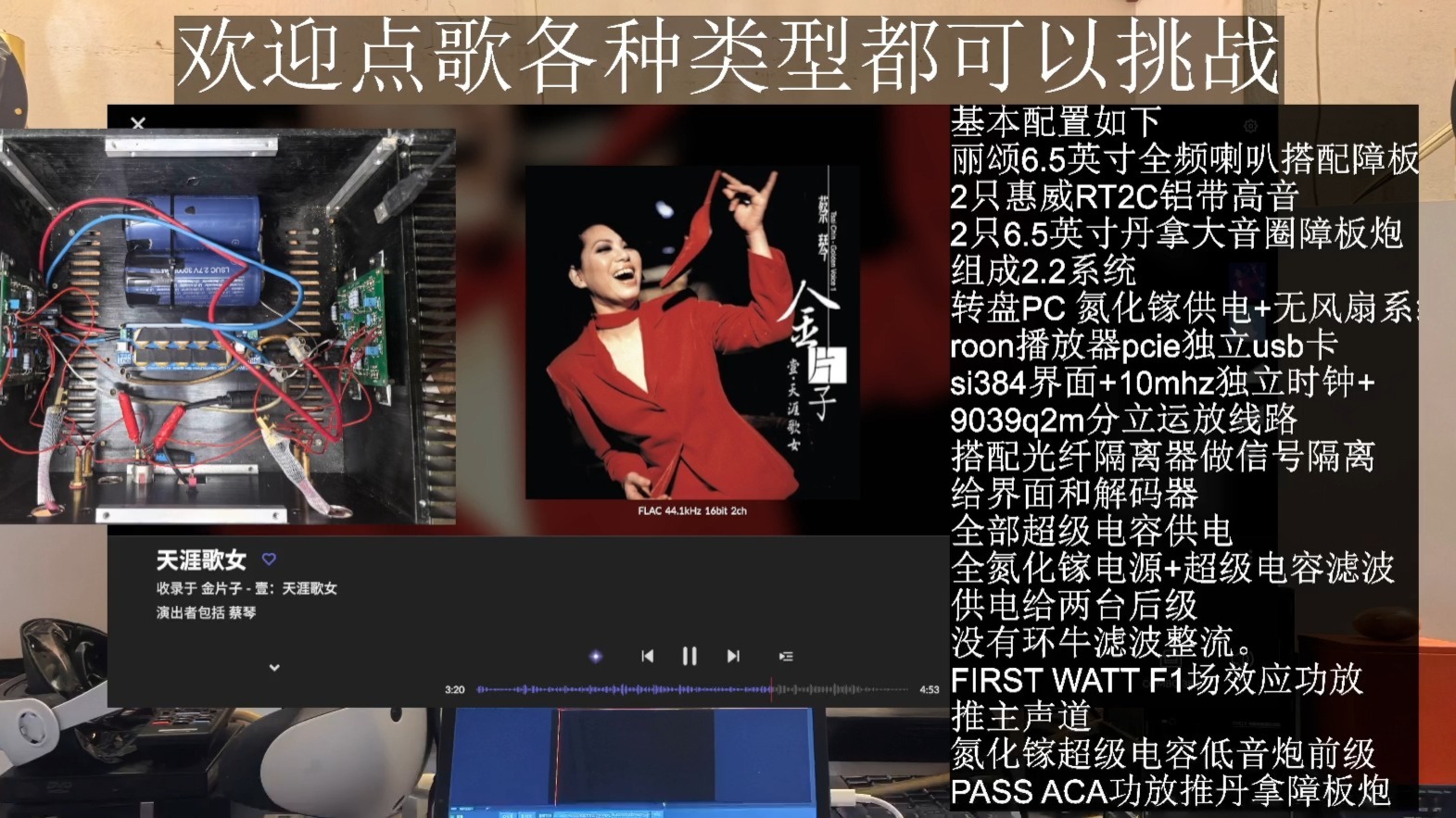 HIEND障板系统 蔡琴 天涯歌女 立体声外录