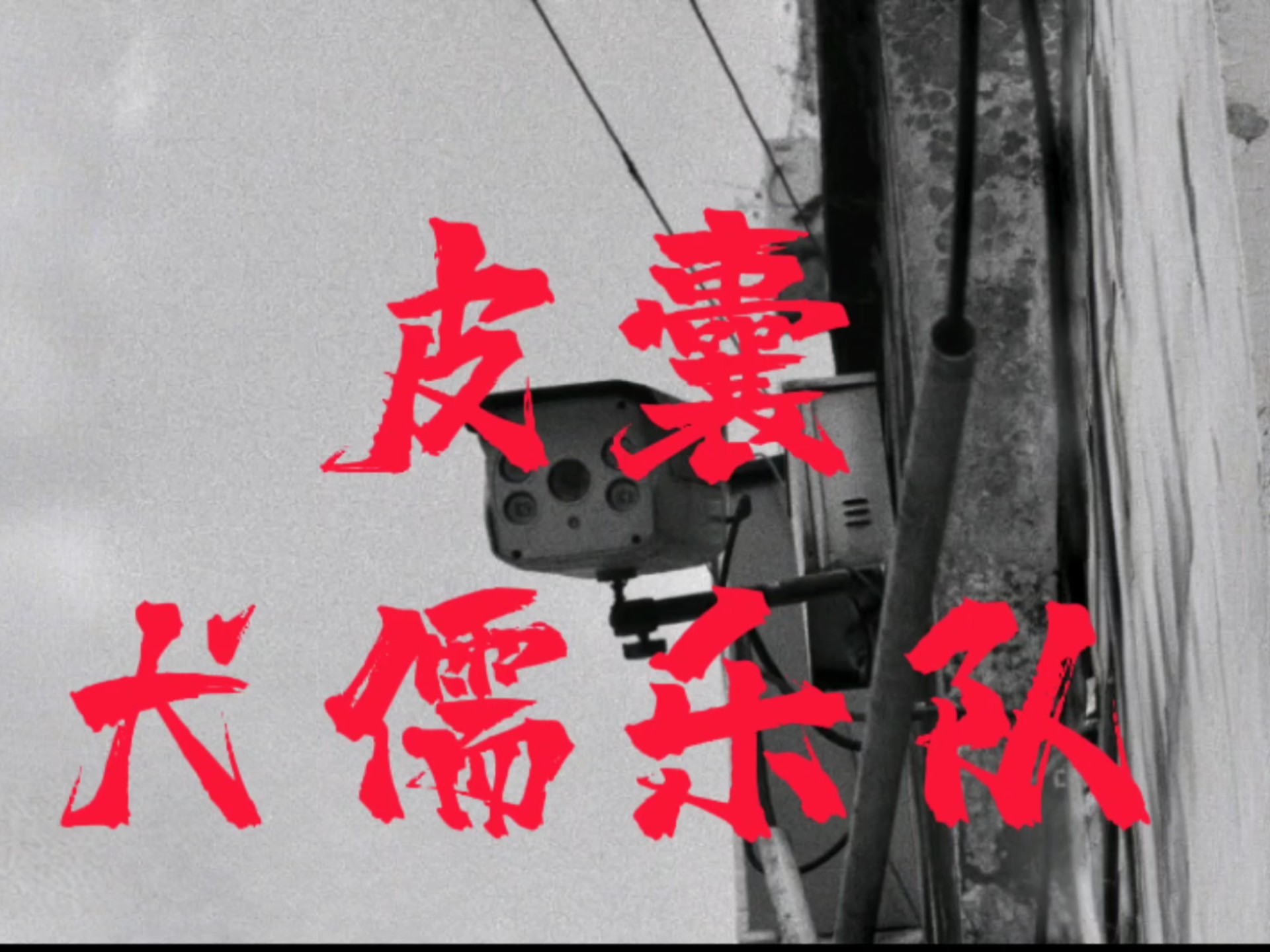 “我多浪荡，我多肮脏”【犬儒乐队】【皮囊】