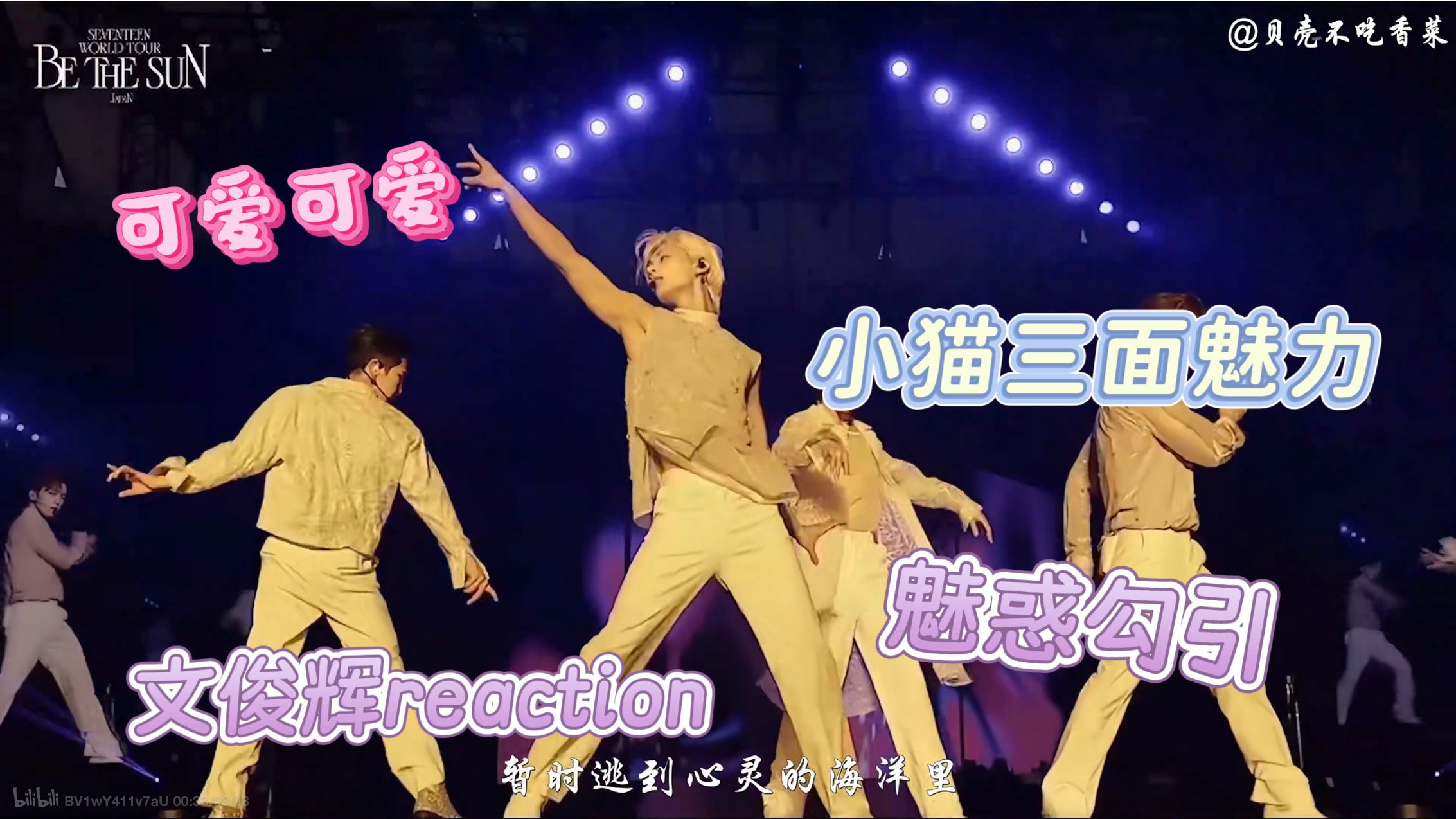 kpop女团粉来re文俊辉啦！！！今天看到了三面小猫